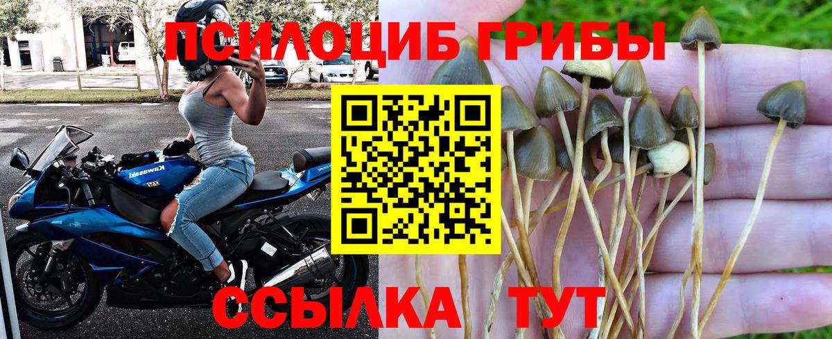 Норильск  Галлюциногенные грибы GOLDEN TEACHER  Вход с VPN  Псилоцибиновые грибы мухоморы 