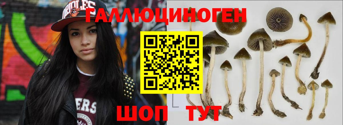 Галлюциногенные грибы MAGIC MUSHROOMS Норильск